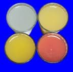 Best Passion Fruits Lemonade in Nashville, TN